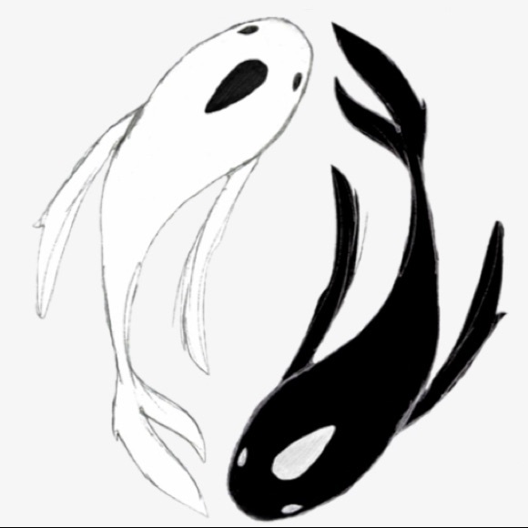 Meet your Posher, Maxine - Picture 1 of 1